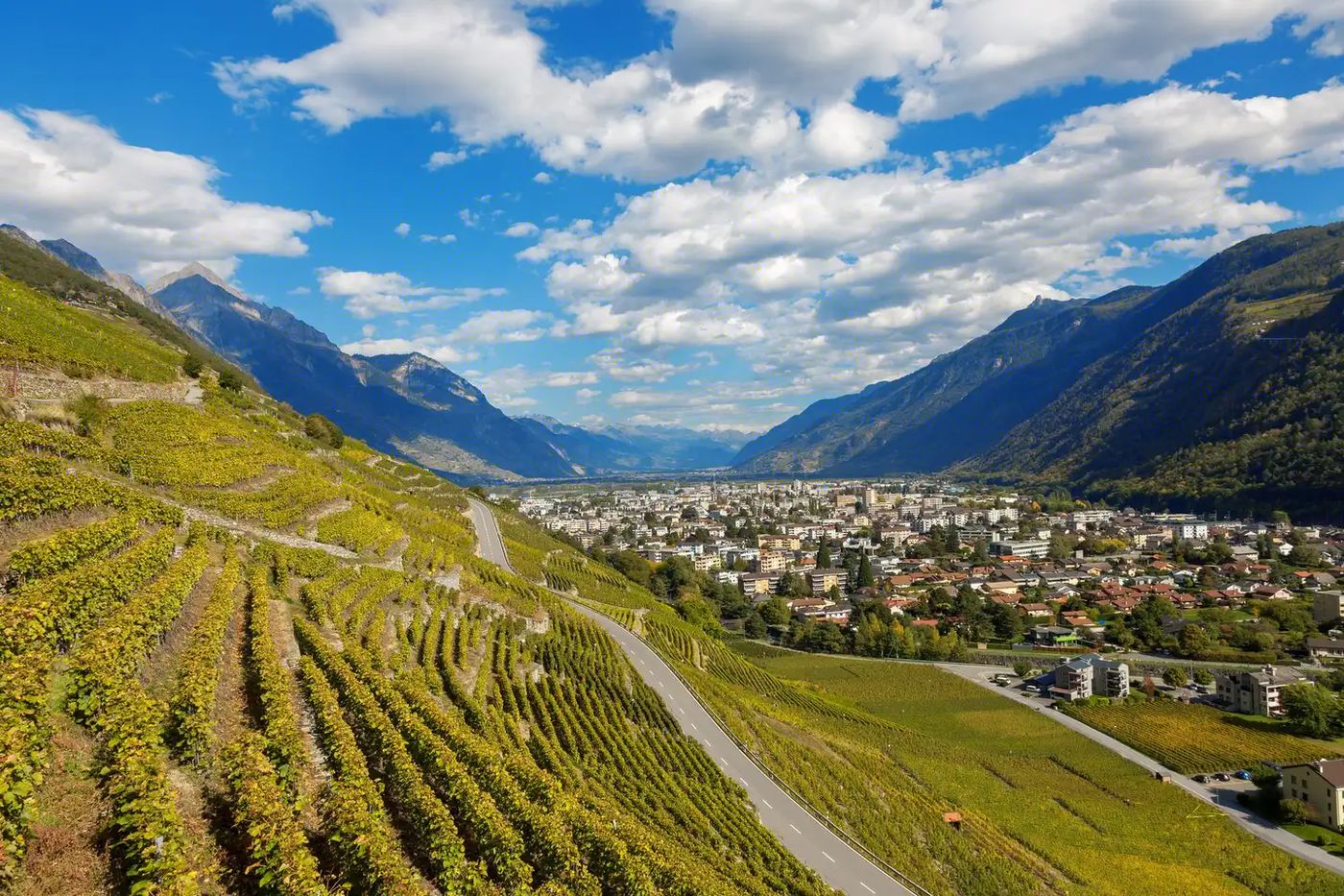 Martigny dans la vallée du Rhône, vue depuis les vignobles