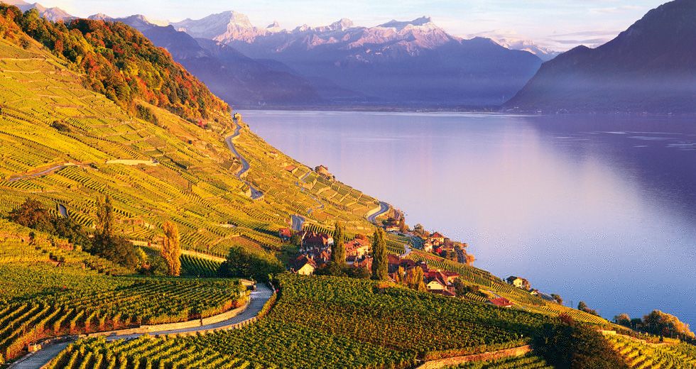 Le Lavaux et le lac Léman, Suisse romande